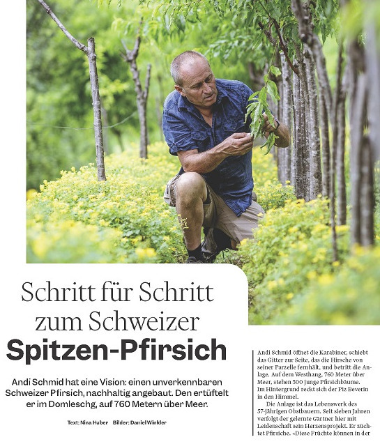 Cover of the article.