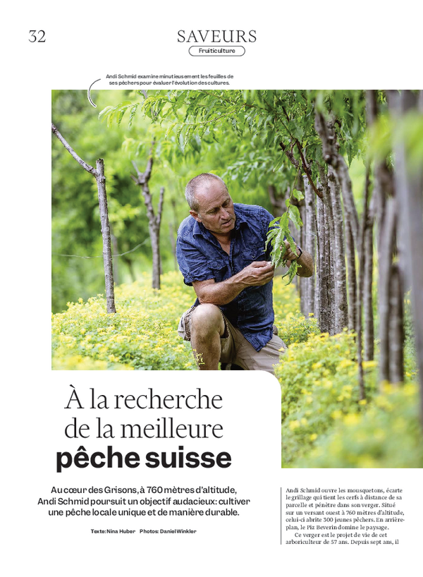 Page couverture de l'article.