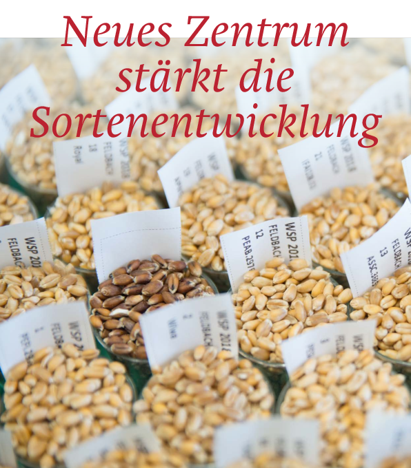 Verschiedene Pflanzensamen in Behältern.